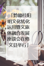 黔赣桂阳明文化转化运用暨文旅体融合发展座谈会在修文县举行