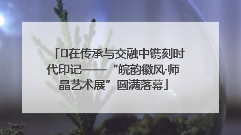 ﻿在传承与交融中镌刻时代印记——“皖韵徽风·师晶艺术展”圆满落幕