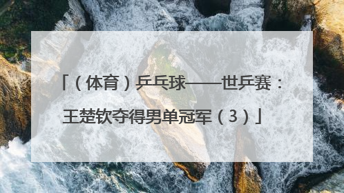 （体育）乒乓球——世乒赛：王楚钦夺得男单冠军（3）