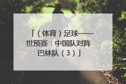 （体育）足球——世预赛：中国队对阵巴林队（3）