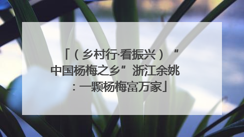 （乡村行·看振兴）“中国杨梅之乡”浙江余姚：一颗杨梅富万家