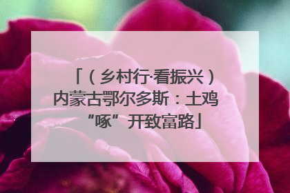 （乡村行·看振兴）内蒙古鄂尔多斯：土鸡“啄”开致富路