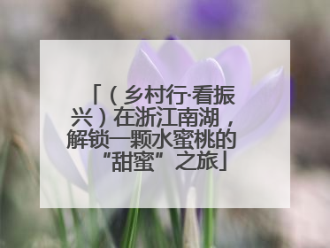 （乡村行·看振兴）在浙江南湖，解锁一颗水蜜桃的“甜蜜”之旅