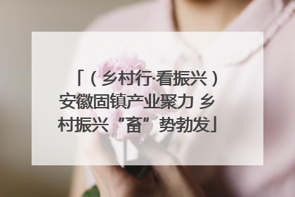 （乡村行·看振兴）安徽固镇产业聚力 乡村振兴“畜”势勃发