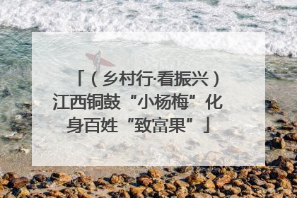 （乡村行·看振兴）江西铜鼓“小杨梅”化身百姓“致富果”
