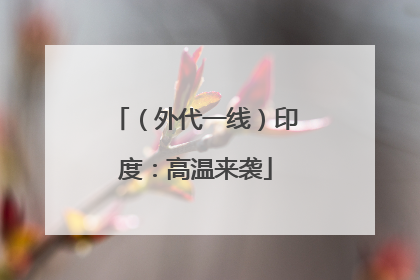 （外代一线）印度：高温来袭