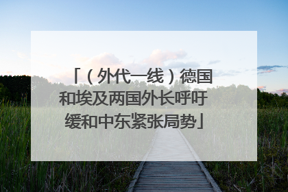 （外代一线）德国和埃及两国外长呼吁缓和中东紧张局势