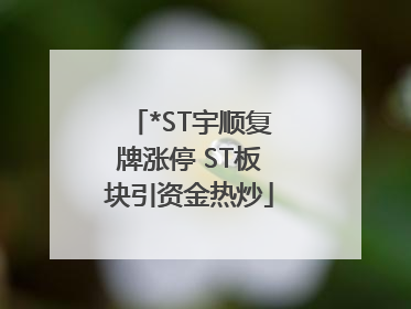 *ST宇顺复牌涨停 ST板块引资金热炒