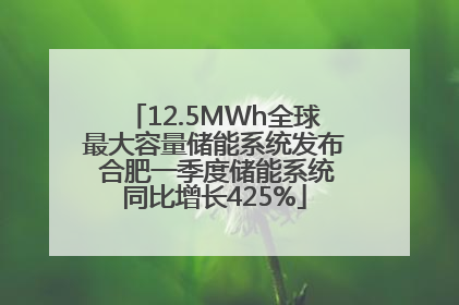 12.5MWh全球最大容量储能系统发布 合肥一季度储能系统同比增长425%