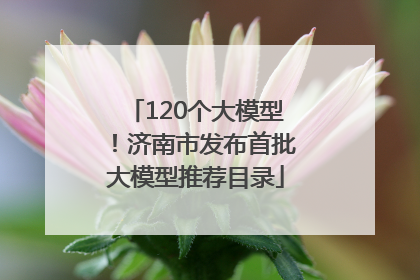 120个大模型！济南市发布首批大模型推荐目录