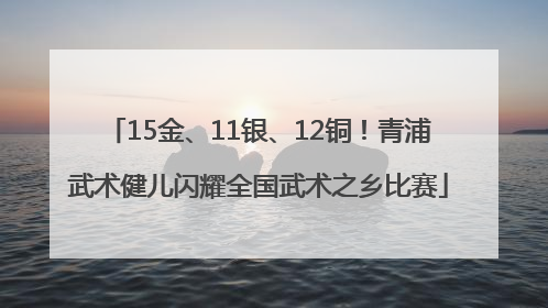 15金、11银、12铜！青浦武术健儿闪耀全国武术之乡比赛