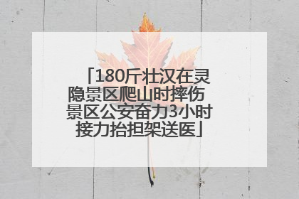 180斤壮汉在灵隐景区爬山时摔伤 景区公安奋力3小时接力抬担架送医