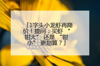 1字头小龙虾再降价！提问：买虾 “钳大” 还是 “钳小” 更划算？