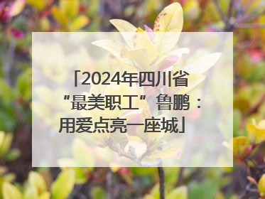 2024年四川省“最美职工”鲁鹏：用爱点亮一座城