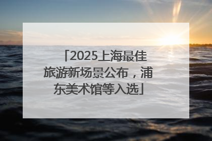 2025上海最佳旅游新场景公布，浦东美术馆等入选