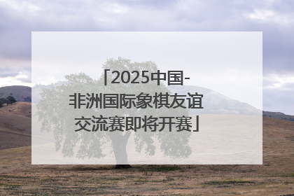 2025中国-非洲国际象棋友谊交流赛即将开赛