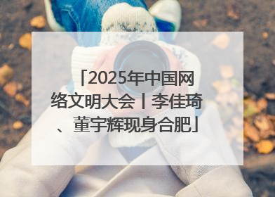 2025年中国网络文明大会丨李佳琦、董宇辉现身合肥