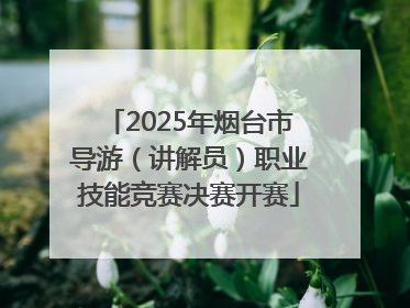 2025年烟台市导游（讲解员）职业技能竞赛决赛开赛