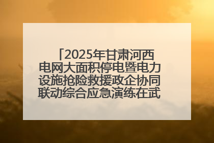 2025年甘肃河西电网大面积停电暨电力设施抢险救援政企协同联动综合应急演练在武威成功举行