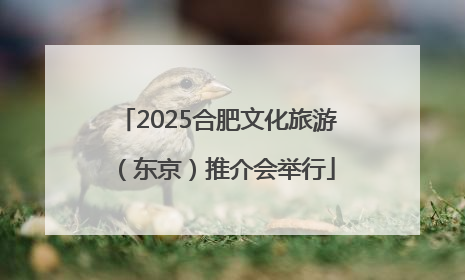 2025合肥文化旅游（东京）推介会举行