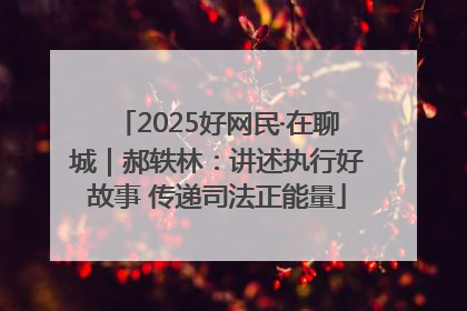 2025好网民·在聊城｜郝轶林：讲述执行好故事 传递司法正能量