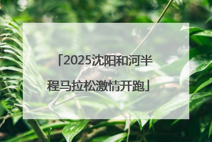 2025沈阳和河半程马拉松激情开跑