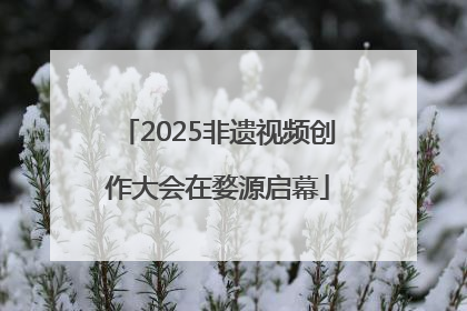 2025非遗视频创作大会在婺源启幕