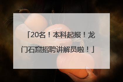 20名！本科起报！龙门石窟招聘讲解员啦！