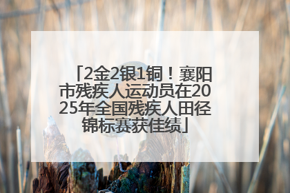 2金2银1铜！襄阳市残疾人运动员在2025年全国残疾人田径锦标赛获佳绩