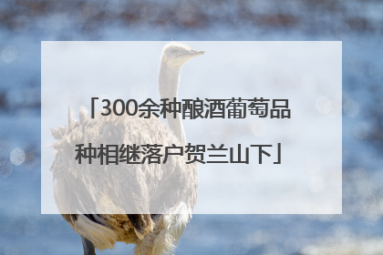 300余种酿酒葡萄品种相继落户贺兰山下