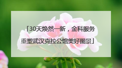 30天焕然一新，金科服务重塑武汉克拉公馆美好图景