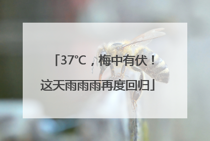 37℃，梅中有伏！这天雨雨雨再度回归