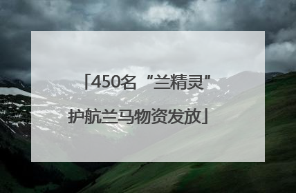 450名“兰精灵”护航兰马物资发放