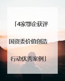 4家鄂企获评国资委价值创造行动优秀案例