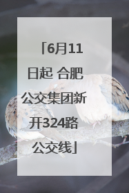 6月11日起 合肥公交集团新开324路公交线