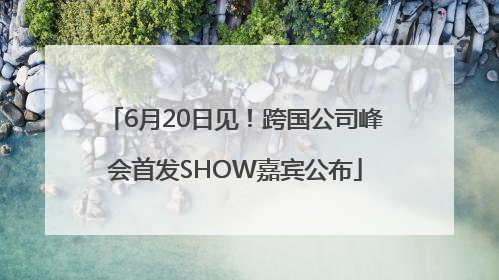 6月20日见！跨国公司峰会首发SHOW嘉宾公布
