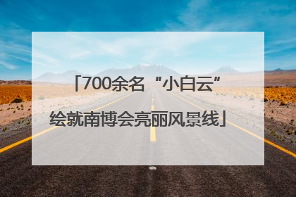 700余名“小白云”绘就南博会亮丽风景线