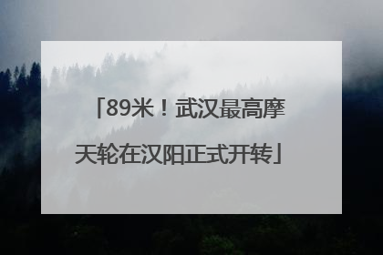89米！武汉最高摩天轮在汉阳正式开转