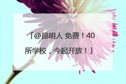 @昆明人 免费！40所学校，今起开放！