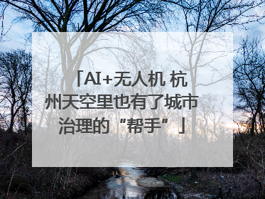AI+无人机 杭州天空里也有了城市治理的“帮手”