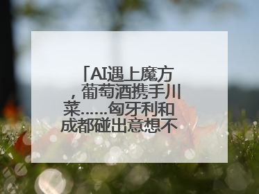 AI遇上魔方，葡萄酒携手川菜……匈牙利和成都碰出意想不到的合作机会
